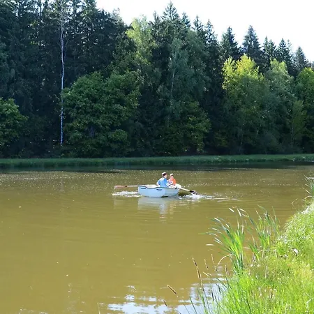 Meier *